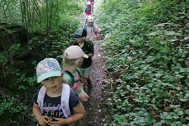 Obrázek č.5